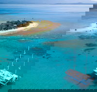 Wavedancer Low Isles Great Barrier Reef Sailing Cruise from Cairns - Great Ocean Road Tourism