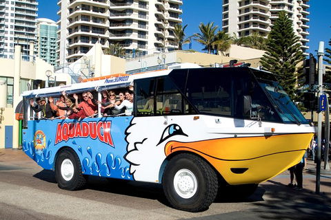 Aquaduck Gold Coast 1 Hour City And River Tour - Great Ocean Road Tourism 5