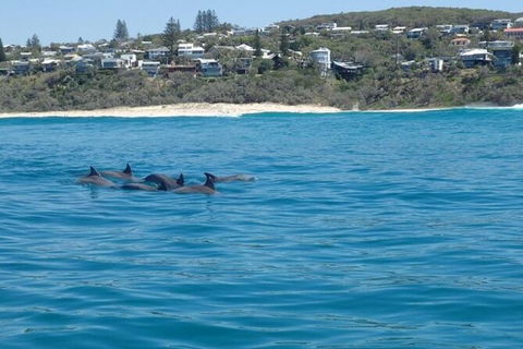 Noosa Thriller - 500hp Ocean Adventure Ride - Great Ocean Road Tourism 5