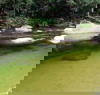 Afternoon Half-Day Daintree Rainforest and River Tour - Great Ocean Road Tourism