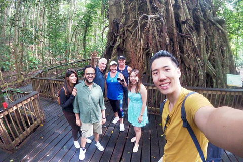 Cairns 4WD Waterfall And Rainforest Tour Including Kuranda Scenic Railway - Great Ocean Road Tourism 6
