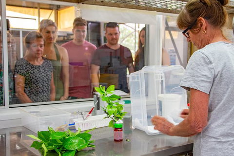 Australian Butterfly Sanctuary - Great Ocean Road Tourism 6