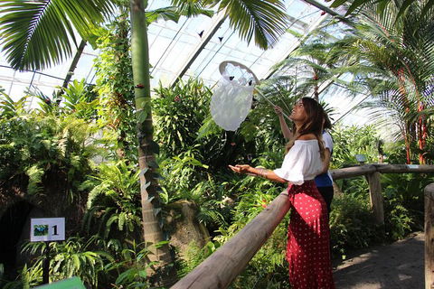 Australian Butterfly Sanctuary - Great Ocean Road Tourism 2