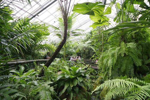 Australian Butterfly Sanctuary - Great Ocean Road Tourism 1