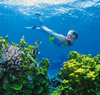 Full Day Snorkel In The Great Barrier Reef - Great Ocean Road Tourism