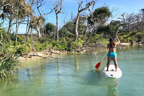 Early Morning Weekend Paddleboard Special - Great Ocean Road Tourism 5