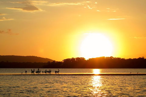 Noosa River Cruise For 3 To 4 People On A Classic Mahogany Speed Boat - 90 Min. - Great Ocean Road Tourism 6