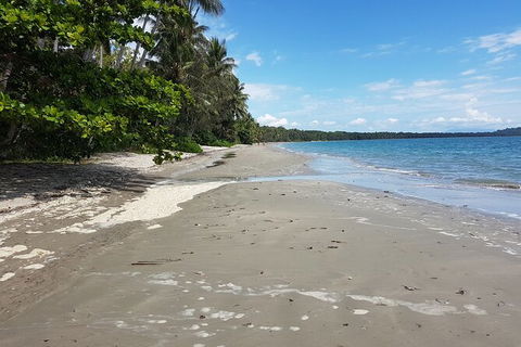 Airport Transfers Between Cairns Airport And Palm Cove - Great Ocean Road Tourism 2