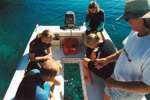 Great Barrier Reef Luxury Expedition Cruise Cabin Booking 7 Days 6 Night - Great Ocean Road Tourism 1