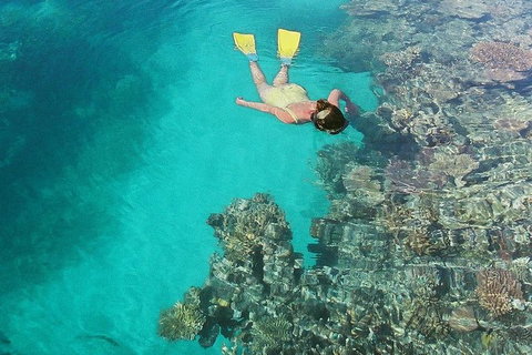 Great Barrier Reef Luxury Expedition Cruise Cabin Booking 7 Days 6 Night - Great Ocean Road Tourism 8