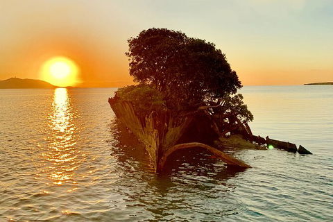 Aquascene Magnetic Island Sunset & Shipwreck Tour - Great Ocean Road Tourism 3