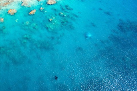 Premium Private Charter - Great Ocean Road Tourism 5