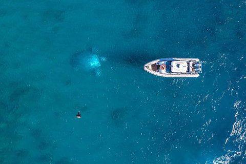 Premium Private Charter - Great Ocean Road Tourism 2