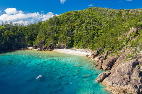 Premium Private Charter - Great Ocean Road Tourism 3