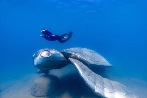 Premium Private Charter - Great Ocean Road Tourism 9