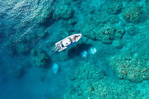 Premium Private Charter - Great Ocean Road Tourism 0