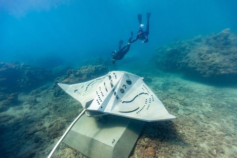 Premium Private Charter - Great Ocean Road Tourism 10