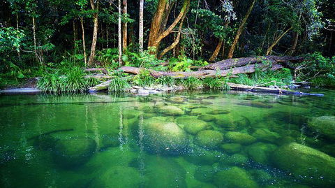 Cairns Adventure Package- 4 Tours In 3 Days! - Great Ocean Road Tourism 6