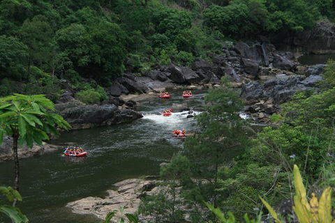 Cairns Adventure Package- 4 Tours In 3 Days! - Great Ocean Road Tourism 3