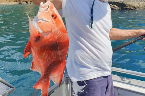 Adventure Fishing Combo Day - Fish, Swim, Whitehaven, Hill Inlet Bush Walking - Great Ocean Road Tourism 2