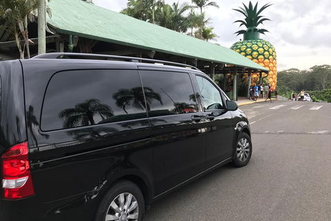 Private Transfer From Sunshine Coast Airport To Noosa For 1 To 4 People - Great Ocean Road Tourism 6