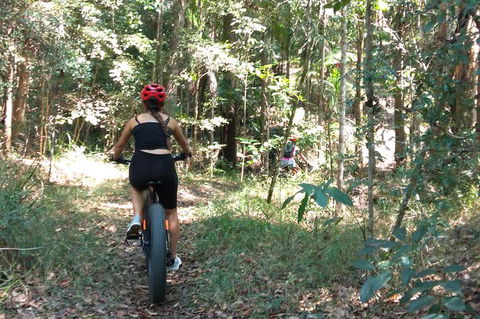 Noosa Hinterland Scenic Canoe & FAT Bike Tour - Great Ocean Road Tourism 1