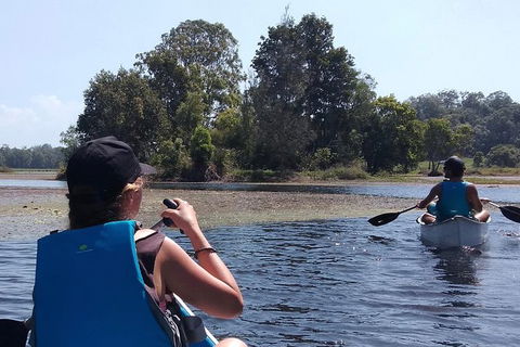Noosa Hinterland Scenic Canoe & FAT Bike Tour - Great Ocean Road Tourism 0