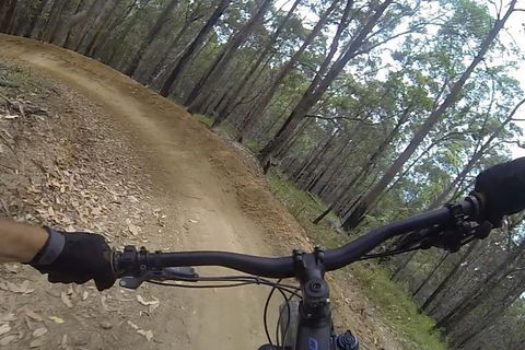 EMtn Bike + Brewery Day Tour - Great Ocean Road Tourism 2