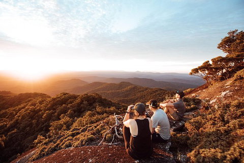 Cairns Rainforest Hiking Experience Incredible Mountains Remote Waterfall - Great Ocean Road Tourism 6