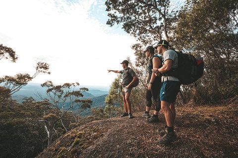 Cairns Rainforest Hiking Experience Incredible Mountains Remote Waterfall - Great Ocean Road Tourism 7