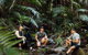 Cairns Rainforest Hiking Experience Incredible Mountains Remote Waterfall - thumb 4
