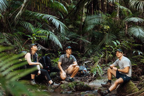 Cairns Rainforest Hiking Experience Incredible Mountains Remote Waterfall - Great Ocean Road Tourism 4