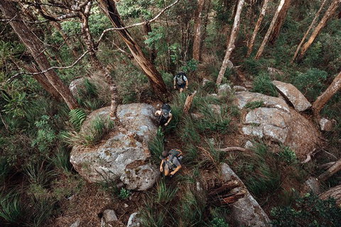 Cairns Rainforest Hiking Experience Incredible Mountains Remote Waterfall - Great Ocean Road Tourism 1