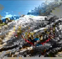 Behana Canyon Full-Day Guided Walking Tour - Great Ocean Road Tourism