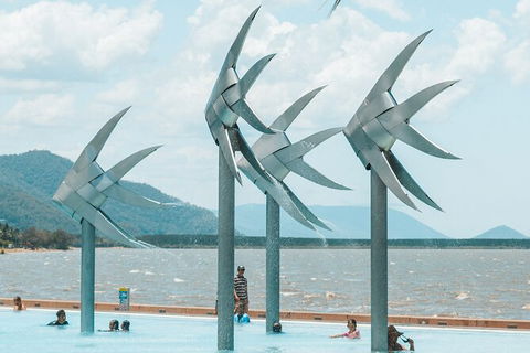 Cairns Airport Private Chater Transfer - Great Ocean Road Tourism 4