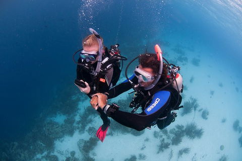 PADI Diving Courses On The Gold Coast - Great Ocean Road Tourism 5