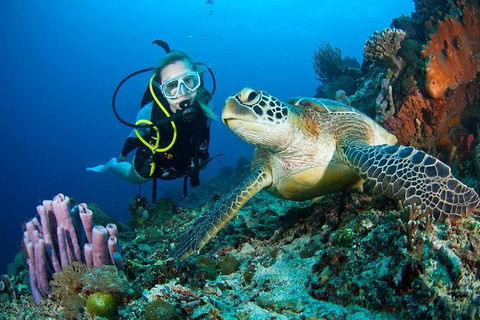 PADI Diving Courses On The Gold Coast - Great Ocean Road Tourism 1