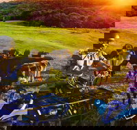 ATV Ride with Petting Zoo Experience in Kuranda from Cairns - Great Ocean Road Tourism