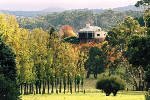 Adelaide Hills Wine Tour - Great Ocean Road Tourism 0