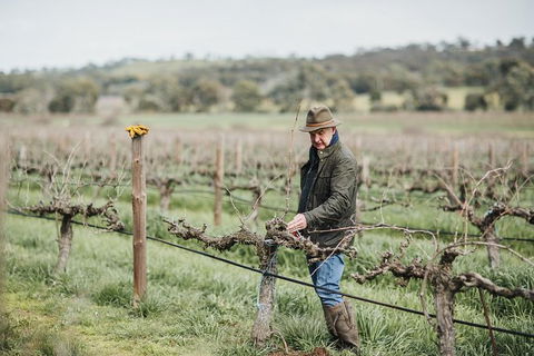 Armagh Vineyard Exclusive Wine Experience And Lunch - Great Ocean Road Tourism 0