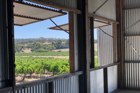 Armagh Vineyard Exclusive Wine Experience And Lunch - Great Ocean Road Tourism 5
