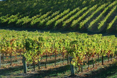 Adelaide Hills Wineries & Hahndorf - Great Ocean Road Tourism 10
