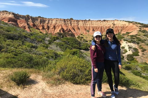 Adelaide Driving Tour - Great Ocean Road Tourism 5