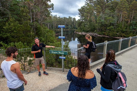 Tahune Airwalk Active Day Trip From Hobart Including Hastings Caves - Great Ocean Road Tourism 3