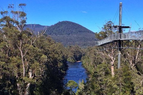 Tahune Airwalk Active Day Trip From Hobart Including Hastings Caves - Great Ocean Road Tourism 6
