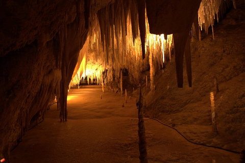 Tahune Airwalk Active Day Trip From Hobart Including Hastings Caves - Great Ocean Road Tourism 8