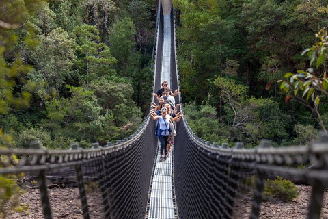 Tahune Airwalk Active Day Trip From Hobart Including Hastings Caves - Great Ocean Road Tourism 0