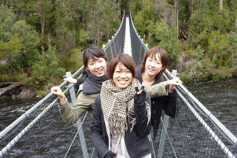 Tahune Airwalk Active Day Trip From Hobart Including Hastings Caves - Great Ocean Road Tourism 7