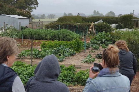 Unearthed Chefs Tour - Great Ocean Road Tourism 17