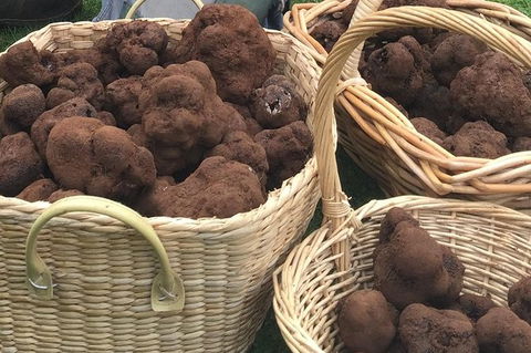 Unearthed Chefs Tour - Great Ocean Road Tourism 13